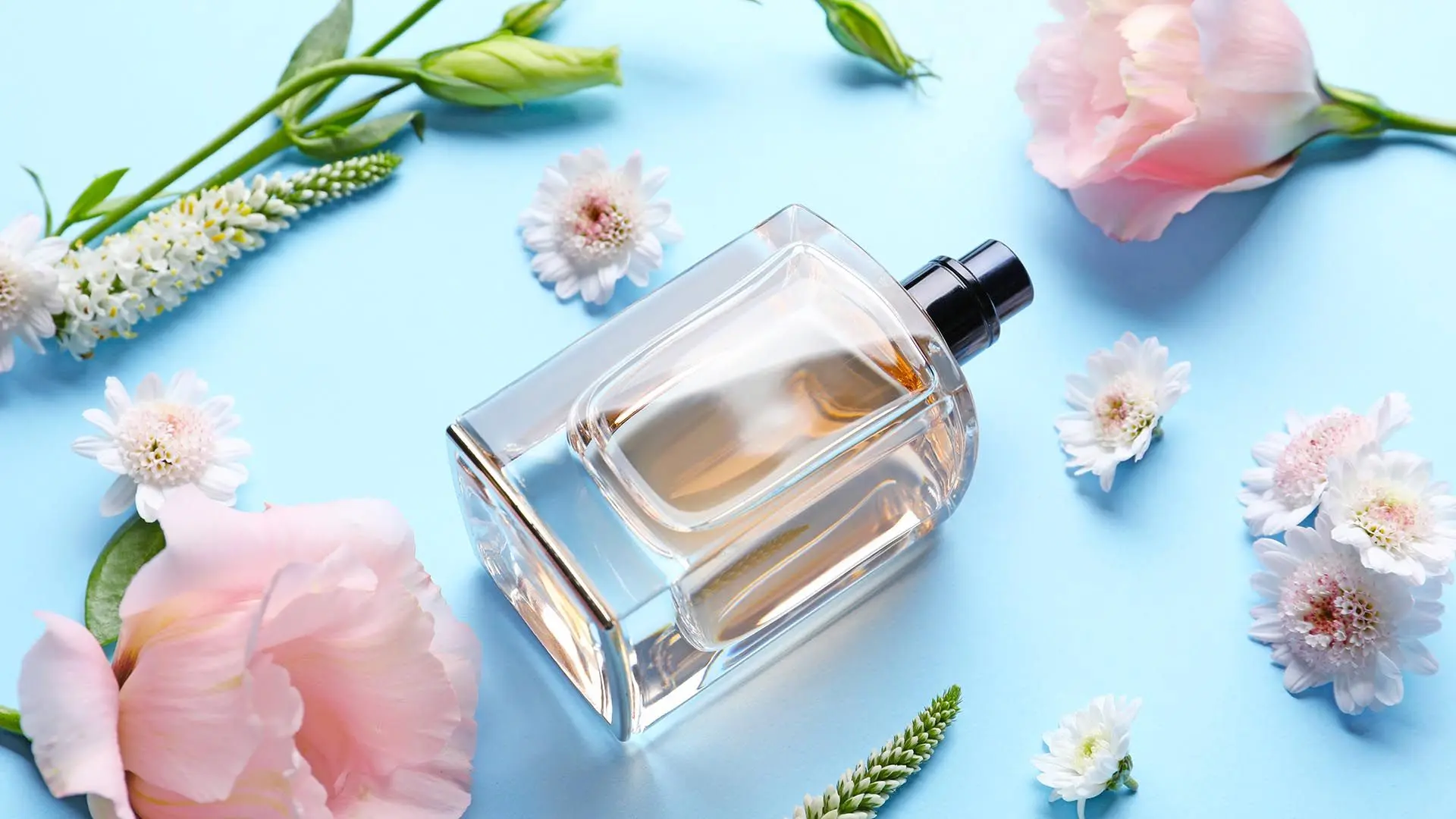 Forever Mesmerizing Fragrances in Pakistan